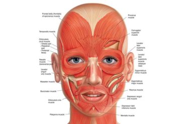VTCT Level 2 Skin Cancer Awareness For Non-Healthcare Professionals